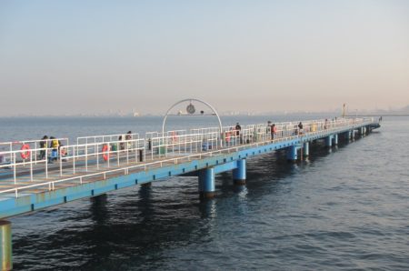 オリジナルメーカー海づり公園(市原市海づり施設) 釣果