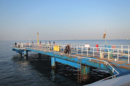 オリジナルメーカー海づり公園(市原市海づり施設) 釣果