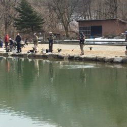 白州トラウトフィッシングエリア　シルフ 釣果