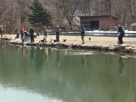 白州トラウトフィッシングエリア　シルフ 釣果