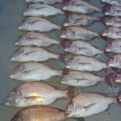 FISHING RISKY 釣果