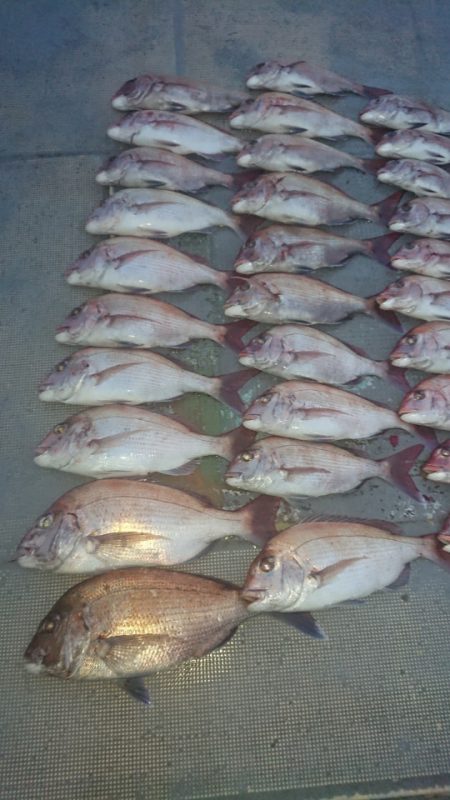 FISHING RISKY 釣果