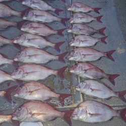 FISHING RISKY 釣果