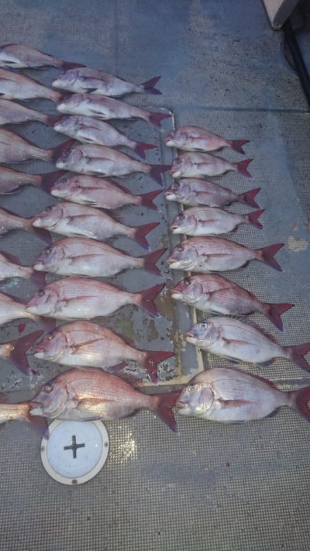 FISHING RISKY 釣果