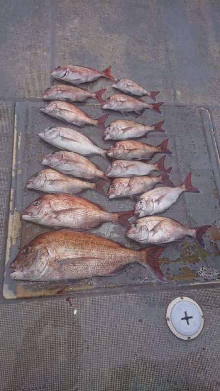 FISHING RISKY 釣果