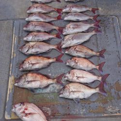 FISHING RISKY 釣果