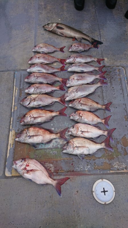 FISHING RISKY 釣果