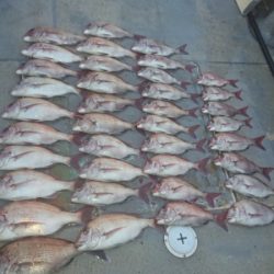 FISHING RISKY 釣果