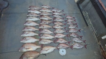 FISHING RISKY 釣果