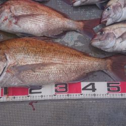 FISHING RISKY 釣果