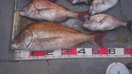 FISHING RISKY 釣果