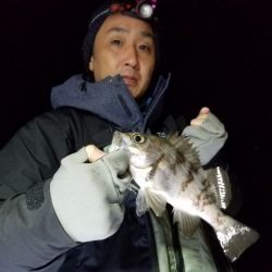 Magic（マジック） 釣果