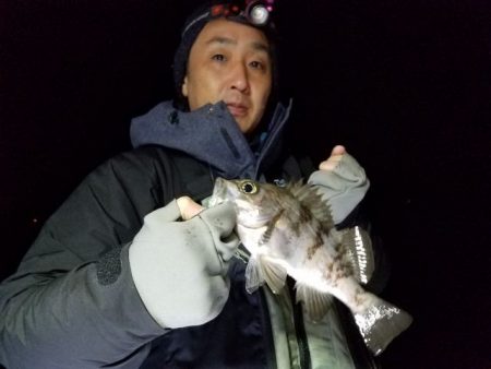 Magic（マジック） 釣果