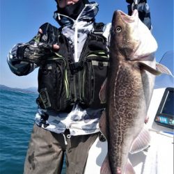 気仙沼 つり丸 釣果