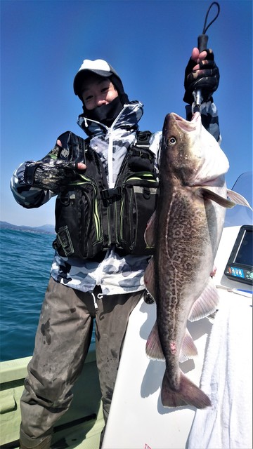 気仙沼　つり丸 釣果