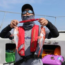 へいみつ丸 釣果