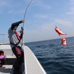 へいみつ丸 釣果