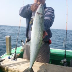 真祐丸 （しんゆうまる） 釣果