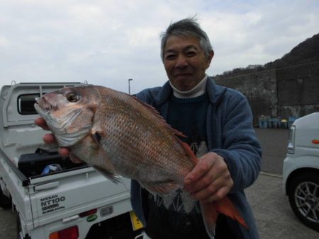 大進丸（新潟） 釣果