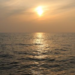 へいみつ丸 釣果