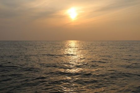 へいみつ丸 釣果