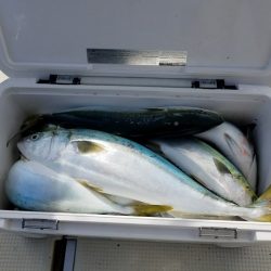 遊漁船　ニライカナイ 釣果