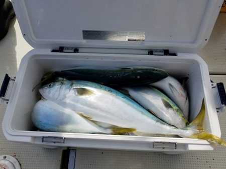 遊漁船　ニライカナイ 釣果