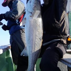 遊漁船 新鋭丸 釣果