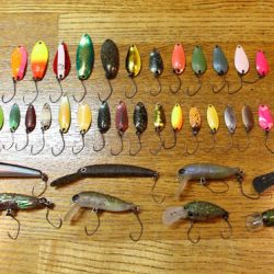 小菅トラウトガーデン 釣果