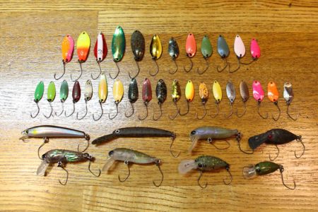 小菅トラウトガーデン 釣果