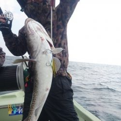 気仙沼 つり丸 釣果