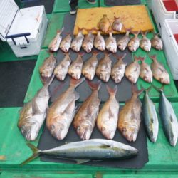 真祐丸 （しんゆうまる） 釣果