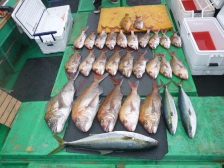 真祐丸 （しんゆうまる） 釣果