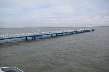 オリジナルメーカー海づり公園(市原市海づり施設) 釣果