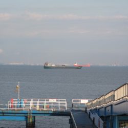 オリジナルメーカー海づり公園(市原市海づり施設) 釣果