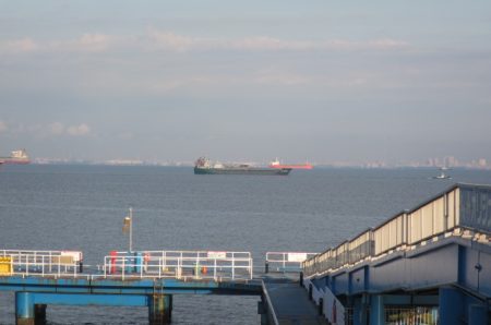 オリジナルメーカー海づり公園(市原市海づり施設) 釣果