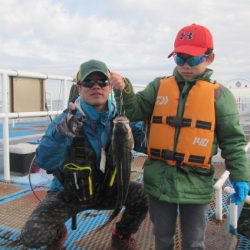 オリジナルメーカー海づり公園(市原市海づり施設) 釣果