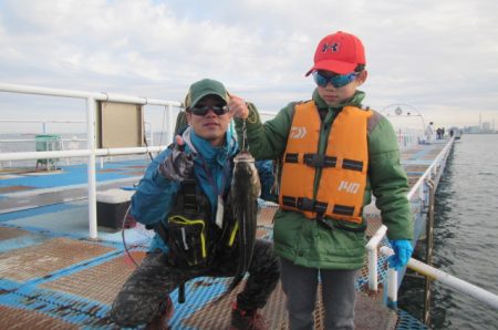 オリジナルメーカー海づり公園(市原市海づり施設) 釣果