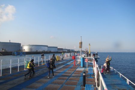 オリジナルメーカー海づり公園(市原市海づり施設) 釣果