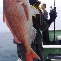 遊漁船 新鋭丸 釣果