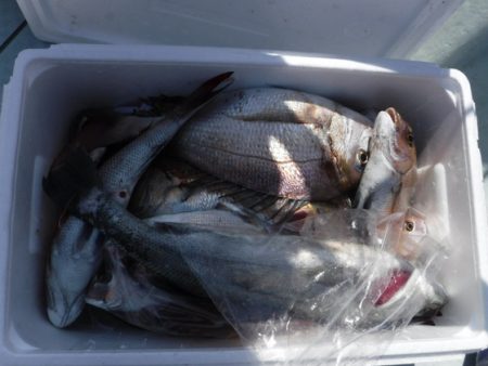 遊漁船 幸友丸 釣果