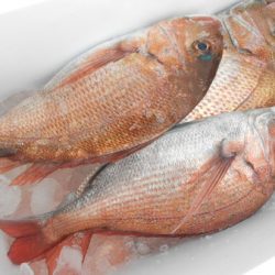 こうゆう丸 釣果