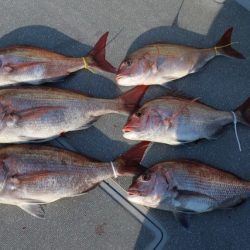 へいみつ丸 釣果