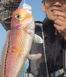 松福丸 釣果