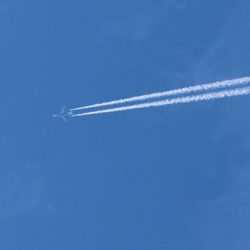 小菅トラウトガーデン 釣果