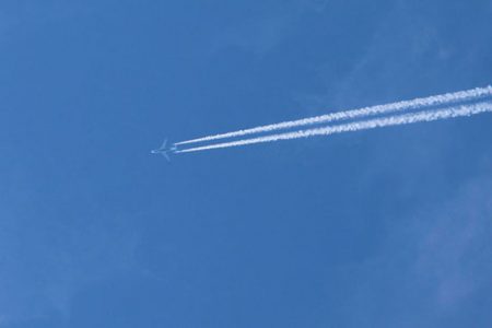 小菅トラウトガーデン 釣果