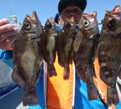 石川丸 釣果