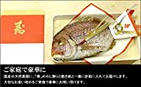 釣り船くわだ 釣果