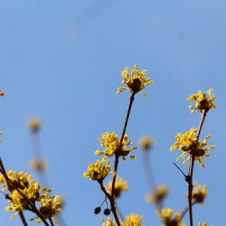 小菅トラウトガーデン 釣果