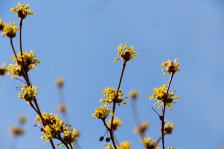 小菅トラウトガーデン 釣果